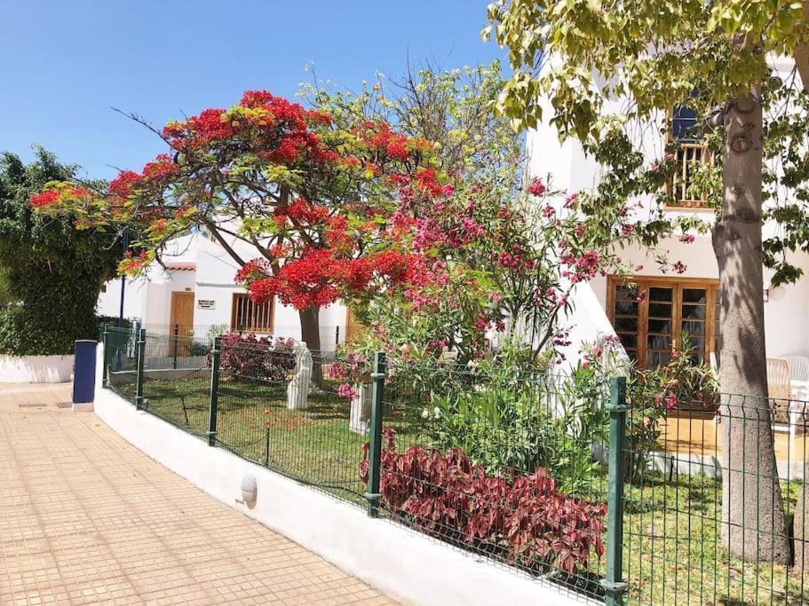 Apartamento Lucia Garden City Con Piscina Climatizada Playa Feñabe Εξωτερικό φωτογραφία