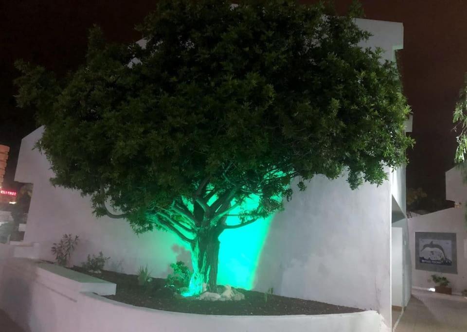 Apartamento Lucia Garden City Con Piscina Climatizada Playa Feñabe Εξωτερικό φωτογραφία
