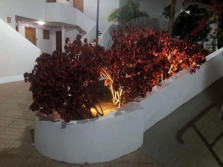 Apartamento Lucia Garden City Con Piscina Climatizada Playa Feñabe Εξωτερικό φωτογραφία