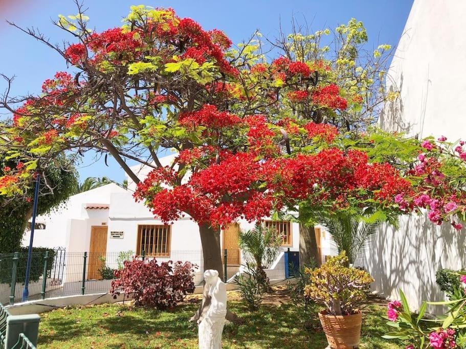 Apartamento Lucia Garden City Con Piscina Climatizada Playa Feñabe Εξωτερικό φωτογραφία