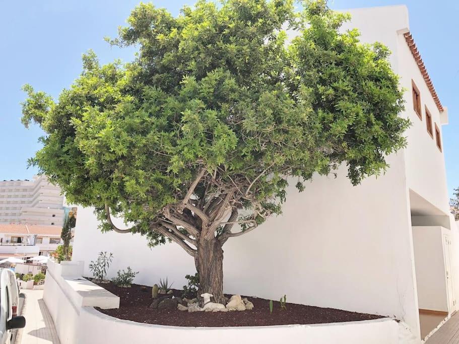 Apartamento Lucia Garden City Con Piscina Climatizada Playa Feñabe Εξωτερικό φωτογραφία